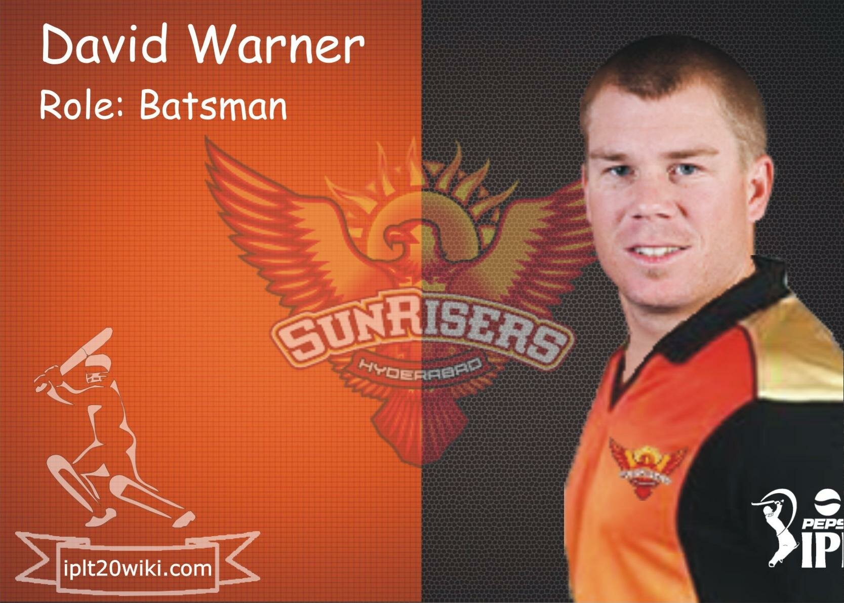 David-Warner-Sunrisers-Hyderabad-IPL-201
