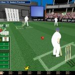 Cricket Challenge - Flash Cricket Online Game