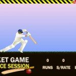 Cricket Game Practice Session - Flash Cricket Game