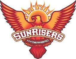 Sunrisers-Hyderabad--ipl-2014-auction