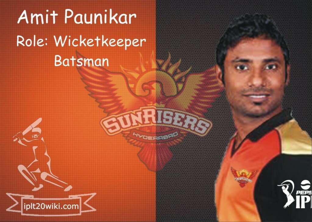 Amit Paunikar - Sunrisers Hyderabad IPL 2014 Player